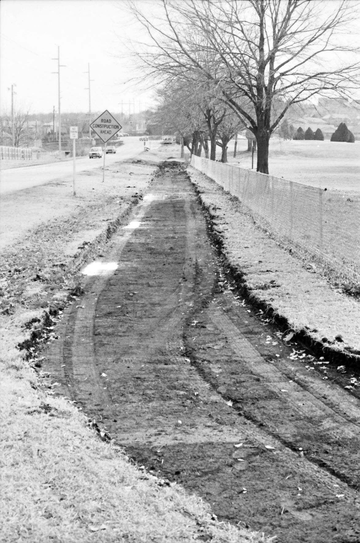 LaFortune Park trail: The beginning